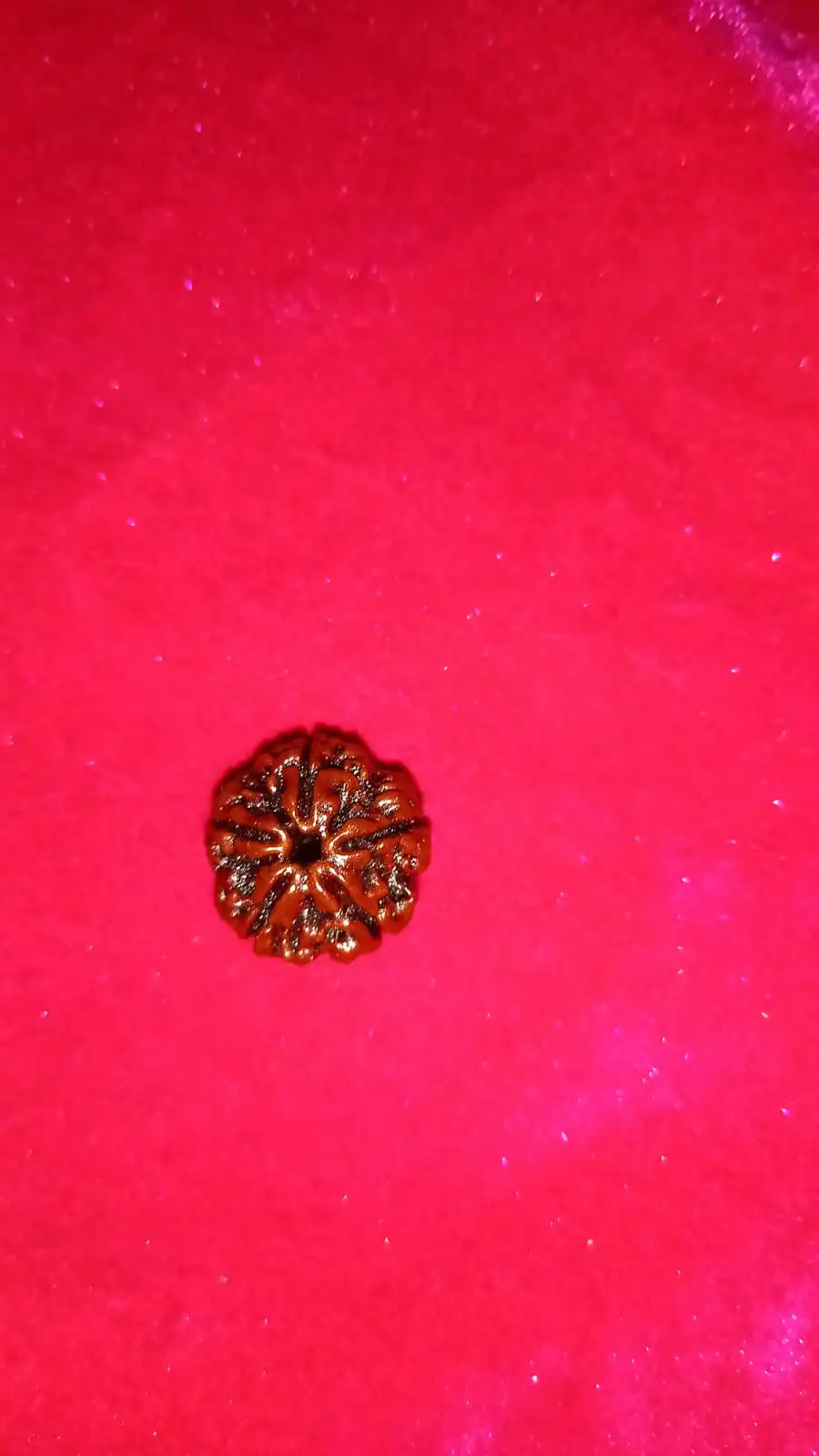 WhatsApp Image 2025-10-06 at 12.37.26 PM (2)