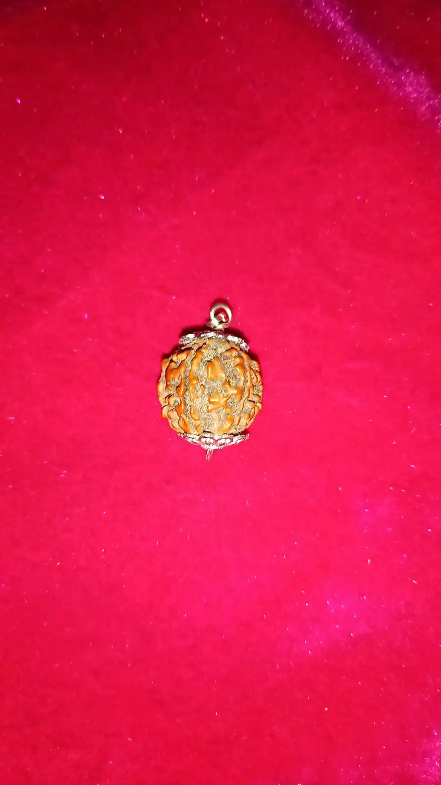 WhatsApp Image 2025-10-06 at 12.37.26 PM