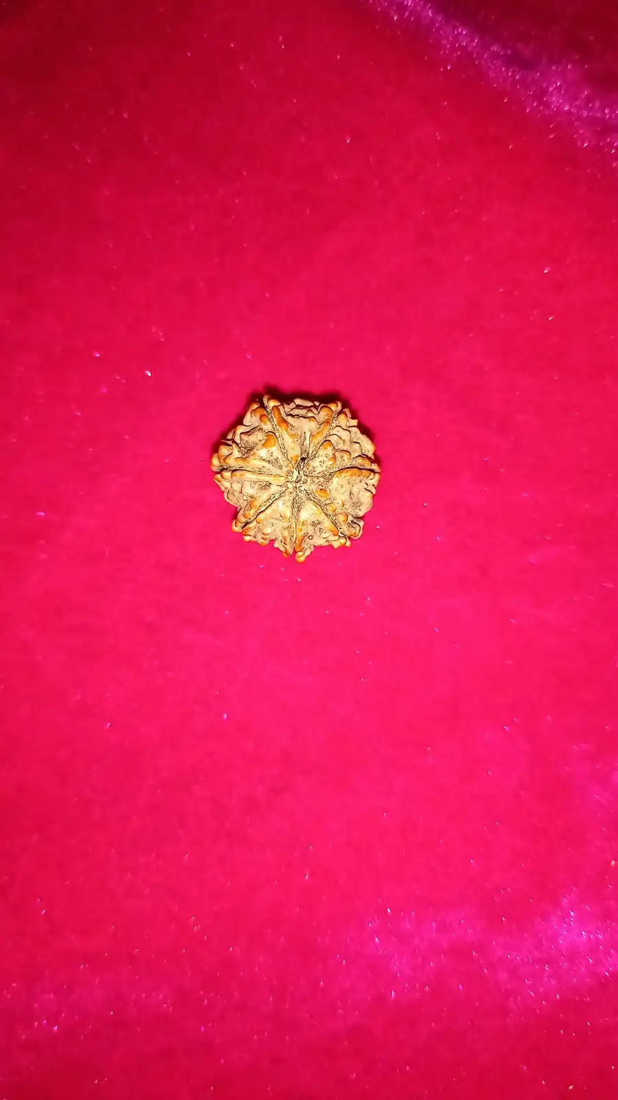 WhatsApp Image 2025-10-06 at 12.37.27 PM (1)